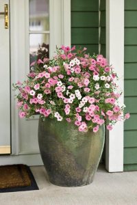 29 Best Front Door Flower Pots Ideas And Designs For 2018 intended for sizing 958 X 1437