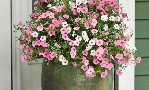 29 Best Front Door Flower Pots Ideas And Designs For 2018 intended for sizing 958 X 1437