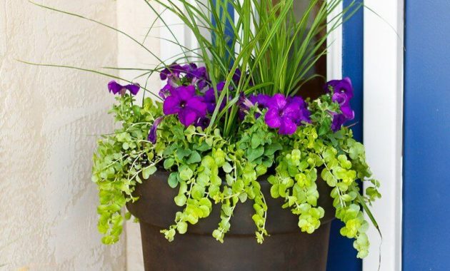 29 Pretty Front Door Flower Pots That Will Add Personality To Your inside size 800 X 1200