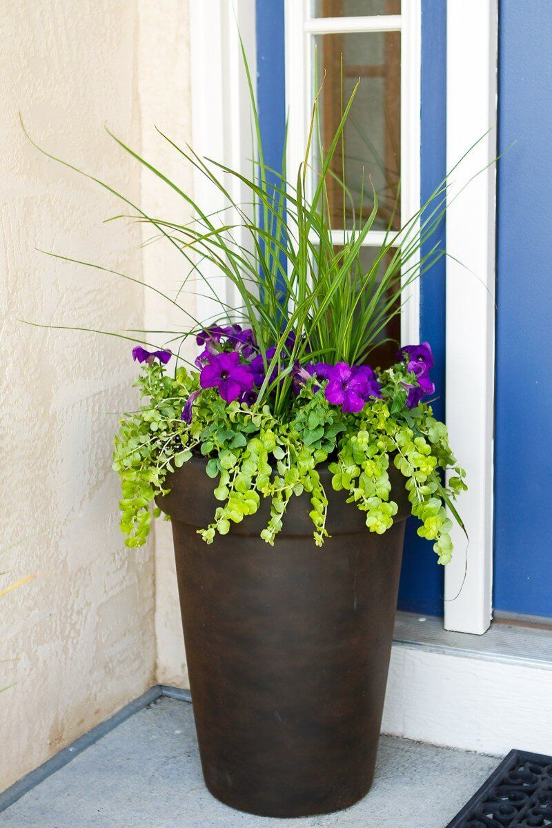 29 Pretty Front Door Flower Pots That Will Add Personality To Your inside size 800 X 1200