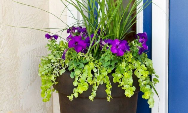 50 Incredible Home Front Porch Flower Planter Ideas Front Porch pertaining to sizing 1080 X 1620