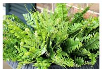 Artificial Ferns For Your Front Porch Noting Grace for size 611 X 1400