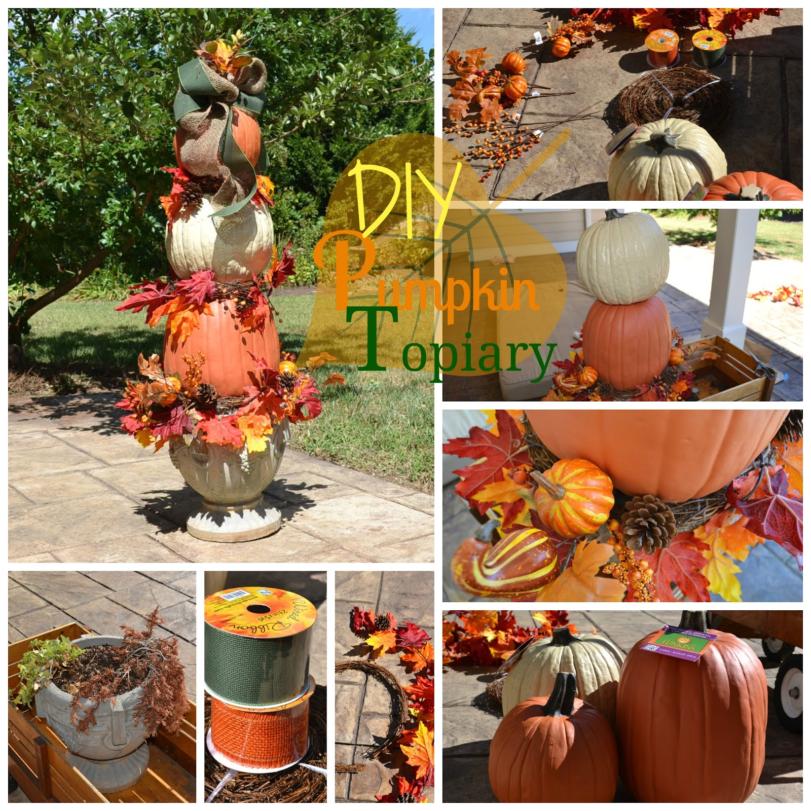 Decor You Adore Easy Diy Pumpkin Topiary Tutorial regarding sizing 1600 X 1600