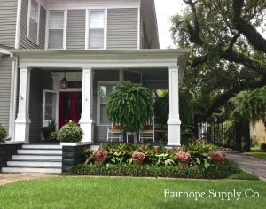 Front Porch Ferns Leslie Anne Tarabella pertaining to measurements 1600 X 1258