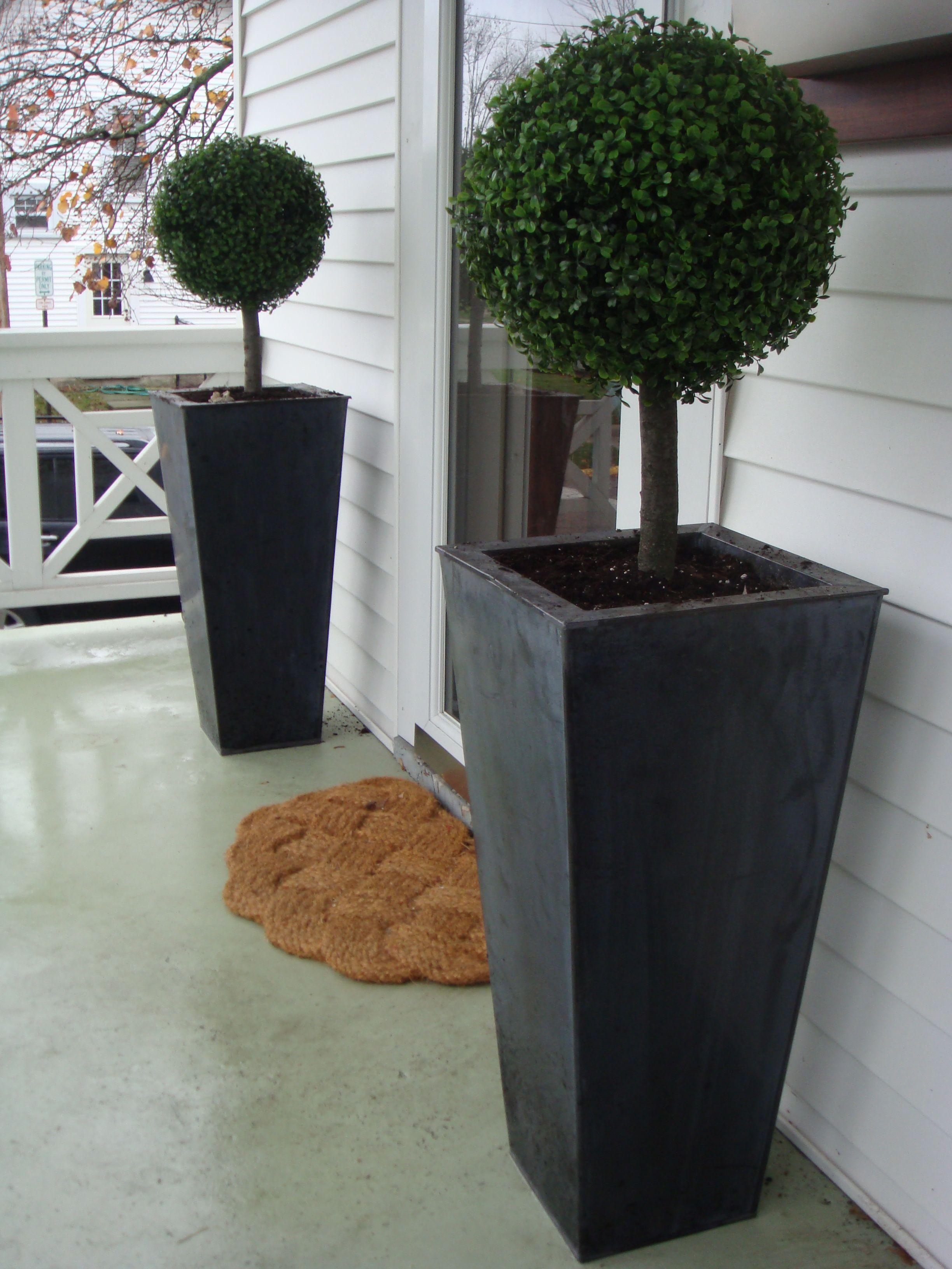Im Thinking About Fake Topiaries For The Front Porch Since I Always for dimensions 2448 X 3264