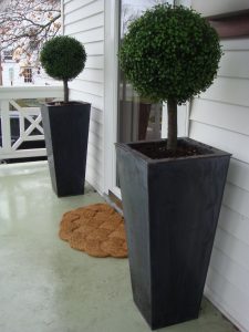 Im Thinking About Fake Topiaries For The Front Porch Since I Always intended for proportions 2448 X 3264