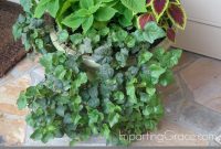 Imparting Grace Best Plants For A Shady Porch with regard to measurements 800 X 1067