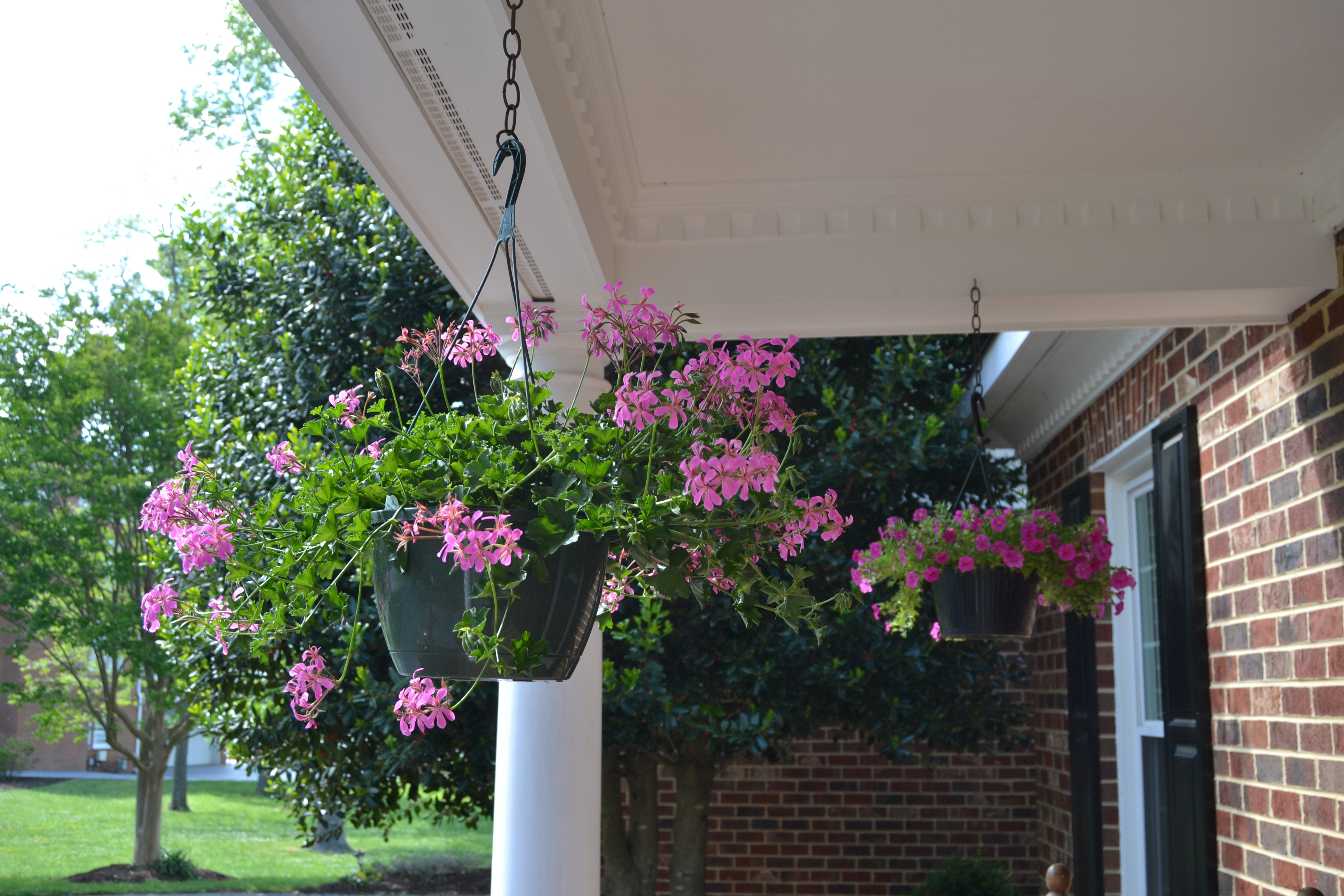 Outsideing Plants Marvelous Potted Patio Ideas Pallet Herb Garden with regard to dimensions 4608 X 3072