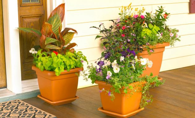 Pool Outdoor Potted Plants Sathoud Decors Pretty Outdoor Potted within sizing 1280 X 960