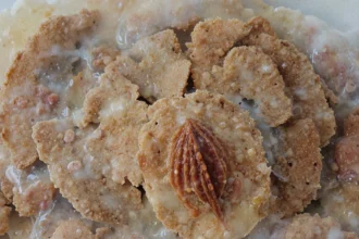 Vegan Gluten Free Snacks