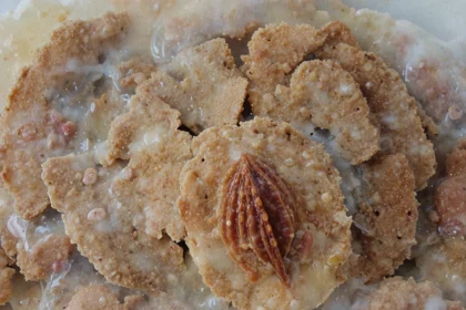 Vegan Gluten Free Snacks